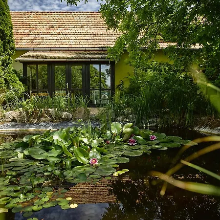 Videki Haz Country house