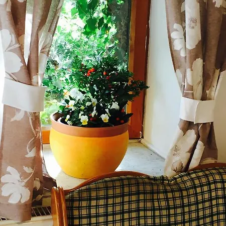 Country house Videki Haz